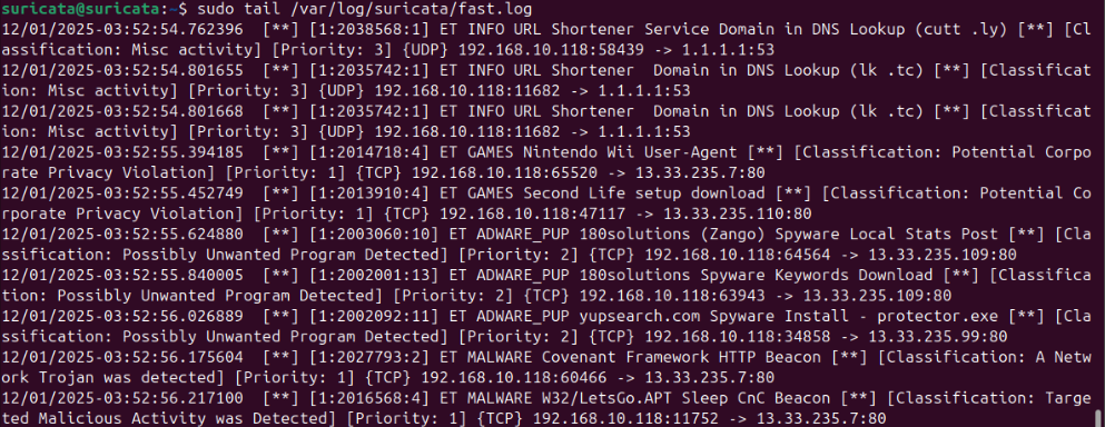 Suricata log output from testing
